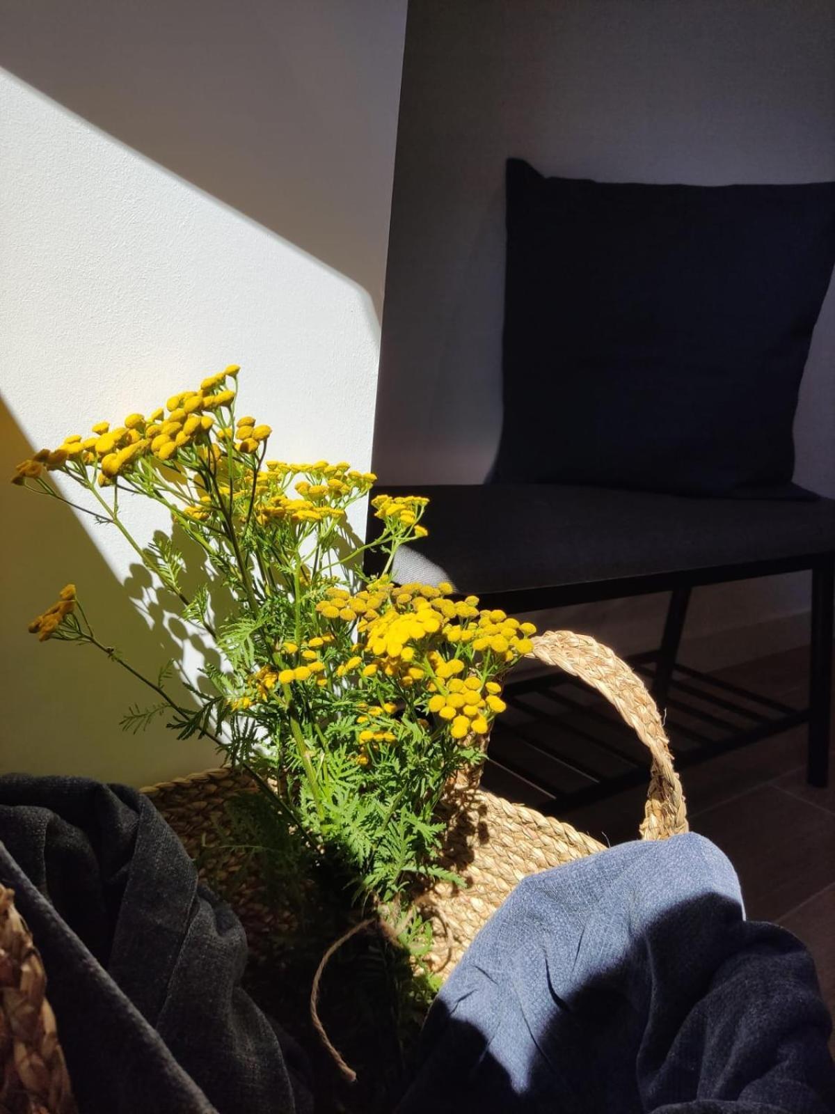 Casa Rural El Pinche 쿠엔코세스드유소 외부 사진